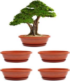 Livzing 15” Bonsai Flower Pot with Tray - Virgin Planter Pots with Drain Holes – Indoor Outdoor Balcony Gardening Pots - Oval Shaped Grow Pots for Plants Plant Container Set