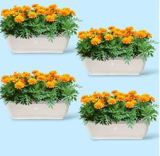 VINSHRA White 20 inch Rectangular Window Planter/ Pots -Set of 4 Plant Container Set