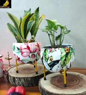 SONE KEY CHIDIYA Plant Container Set
