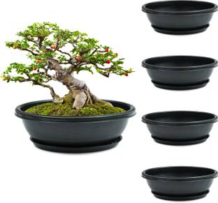 Livzing 12” Bonsai Flower Pot with Tray - Virgin Planter Pots with Drain Holes – Indoor Outdoor Balcony Gardening Pots - Oval Shaped Grow Pots for Plants Plant Container Set