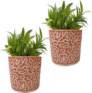RBT Orange RD Pipe Ceramic Plant Pot Size 4x4inch GH0022-04_Packof2 Plant Container Set