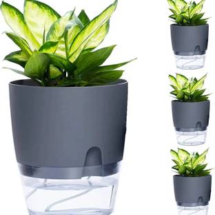 upyog Set of 5 Modern Plant Planters,Self Watering pots Suitable for Indoor Plants Plant Container Set