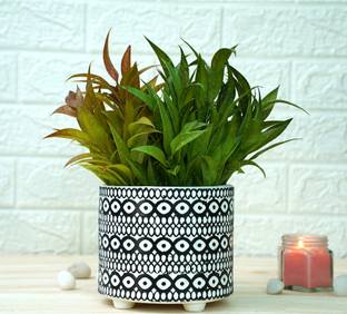 GOLD DUST Ceramic Pots for Plants, Ceramic Flower Pot Black Moroccan Plant Container Set