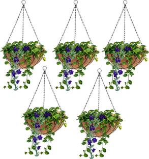 मडस्टाइल Coco Liner Basket Hanging Planter (10 inch)With Liner And Metal Chain प्लांट कंटेनर सेट