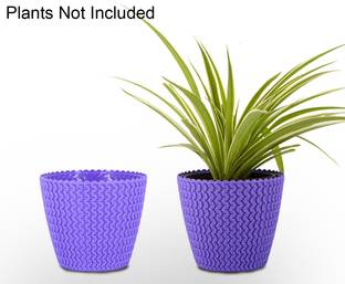 Garden's Need 7-Inch Poppy Flower Pot for Indoor & Outdoor | Round Shape, Set of 2, Purple Plant Container Set