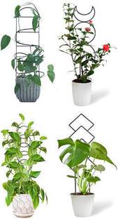 GREEN TOUCH Stylish Metal Plant tree Supporter of 4 Decorative Garden Trellis Stakes climber Plant Container Set