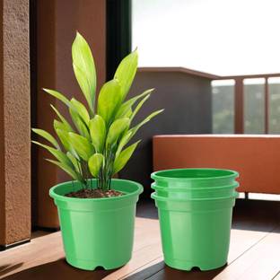 HOMESTIC by Kuber Industries Plastic Planters|Gamla|Flower Pots for Garden,8"x6",Pack of 4 (Green) Plant Container Set