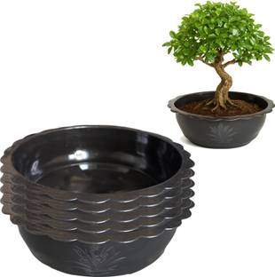 gurusamy Plant Container Set