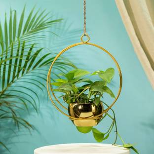 TrustBasket Lunar Eclipse Metal Hanging Planter (Set of 1) Plant Container Set