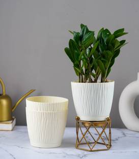 Nurturing Green Self-Watering Pots for Home, Decor, Garden Plant Container Set