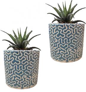 Gupta Light Blue RD Pipe Ceramic Pot Size 4x4inch GH0022-03_Packof2 Plant Container Set
