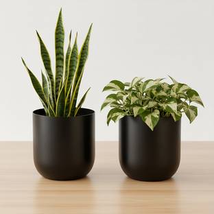 URBAN NEST CREATIONS Luxury Black Matte Planter Pot | Indoor & Outdoor | Home, Balcony & Office Decor Plant Container Set