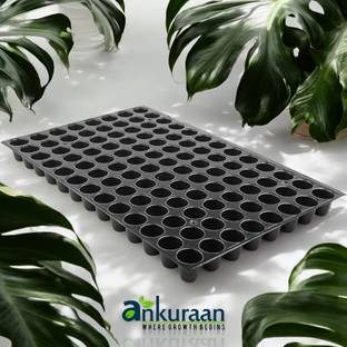 Ankuraan Germination Trays for Seedling, Nursery Trays for Plants, 104 holes Set of 6 Plant Container Set