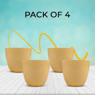 Greenium Plant Container Set