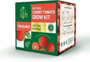 Pot and Bloom Treasures Cherry Tomato Kit. Perfect for Home Garden Potting Mix,Starter Kit Plant Container Set
