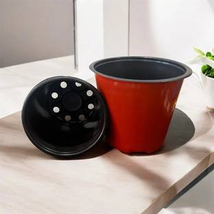 SaplingsWorld Thermo Plastic Nursery Flower Pot | 6 inch size | Plant Container Set