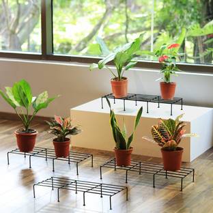TrustBasket Indigo Plant Stand Set of 4 Black Plant Container Set