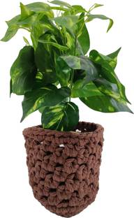 NUEVOSGHAR Planter pot cover Plant Container Set