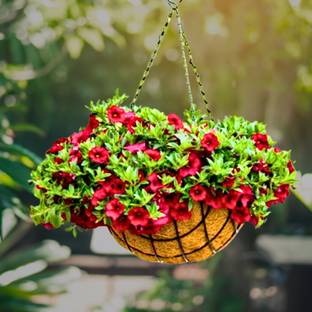 Muddstyles Coco Liner Basket Hanging Planter (10 inch)With Liner And Metal Chain Plant Container Set