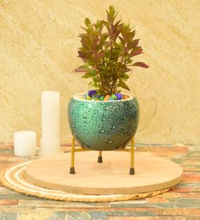 SONE KEY CHIDIYA Handmade Pitalnagi Meenakari Pots N Planter/Home/Indoor/Outdoor/Plant Container Plant Container Set