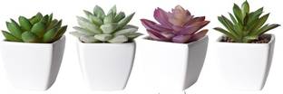 MAAGHI Plant Container Set Plant Container Set
