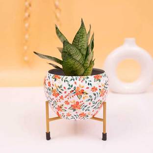 Everything Creatives Printed Pot with Stand, Rust-Free Powder Coating, Indoor Plant Container Set