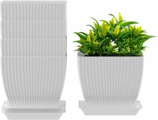 Flipkart SmartBuy Set Of 5 Square Flower Pots Outdoor Indoor, Planters with Drainage Hole and Tray Plastic Vase