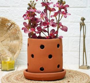 GOLD DUST orchid plant pot, orchid pots, orchid pots for home indoor plant terracotta Plant Container Set
