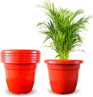 संशोपी 10 inch dia. Plant Vase Planters Flower Pots प्लांट कंटेनर सेट