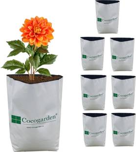 Cocogarden UV Treated Poly Grow Bags 20x20x40 cm – White, Pack of 8 for Terrace Gardening Plant Container Set