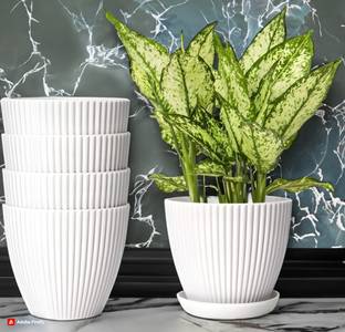 Nursery Hub (Pack of 5) Premium White 7 inch Dia. X 6 inch height gamla planter Plant Pots Plant Container Set