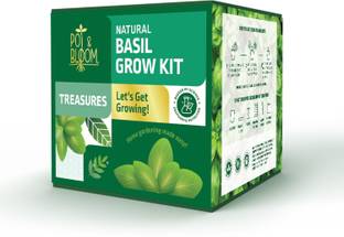 Pot and Bloom Treasures Basil Kit. Perfect & Starter Kit for Home Garden Plant Container Set