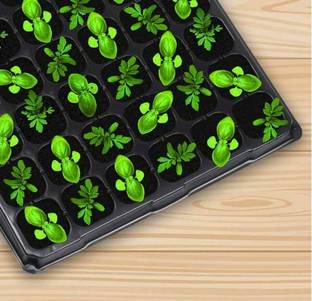 SIDDHI Plastic Grow Your Own Seedling Tray With 70 Cavity Plant Container Set