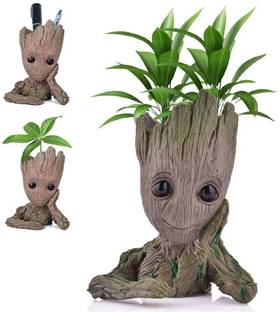 The Potter Groot Flower Planter Tree Man Succulent Planter Face Planters Pot Plant Container Set
