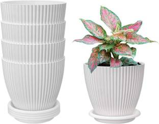 Nursery Hub Premium White 7 inch Dia. X 6 inch height gamla planter Pots Plant Container Set