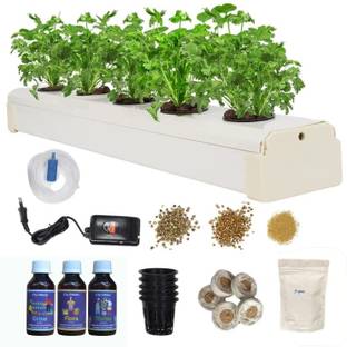 सिटीग्रीन DWC Hydroponic Kit for Home - Beginners 5 Planter प्लांट कंटेनर सेट