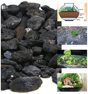 Varshney Gardening Wooden Charcole for Plant Orchid Charcole Used to Improve Your Gardening 1 kg Plant Container Set