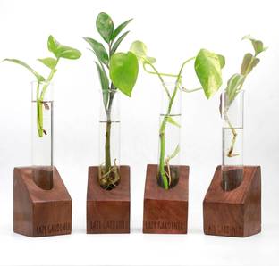 lazy gardener Propagation Station Mini - Sheesham wood Plant Container Set