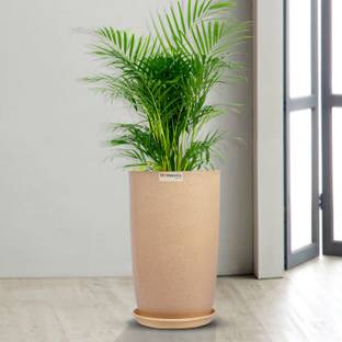 HOMESTIC by Kuber Industries Marble Emerald Flower Pot for Home & Garden with Tray|18 Inch|Beige Plant Container Set