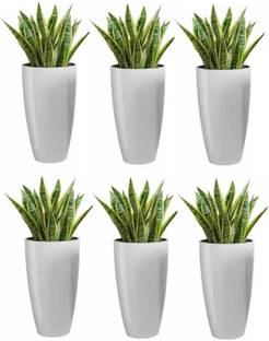 UBBISKART HOUSEWARE Plastic Tower Pot 8.5 inch Flower Pot for Home office Garden Balcony Plant Container Set