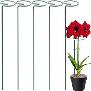 Green Gardenia 16 inches Metal Plant, Super Long and Strong Plant Support, Black-set of 5 Plant Container Set