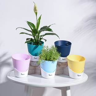 UGAOO Atlantis Self Watering Multicolour Planter - 4 Inch (Set of 5) Plant Container Set
