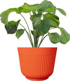 Urban Infotech 12 Inch Plastic Flower Pot Outdoor Terrace Lawn Balcony Plant Container Set