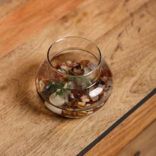 MAHDAM Lucky Bamboo, Money Plant Pot, Mini Flower Vase For Home Decor (Matka Shape Pot) Plant Container Set