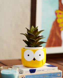 HomifyArt Yellow Owl Mini Planter Pot, Handcrafted, Succulents & Indoor Plants Size 4x3 Plant Container Set