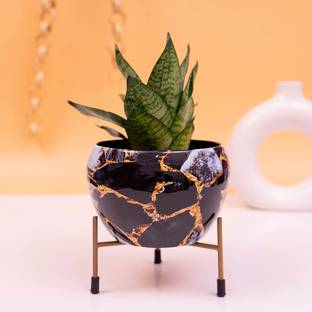 SONE KEY CHIDIYA Handamde Peetalnagri Meena Design Pot with Stand for Decor/Balcony/Garden Décor Plant Container Set