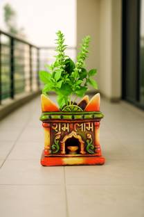 Turtulsgroup Premium Multicolor Tulsi Pots Long Lasting Unbreakable Size 11x10 Inch Plant Container Set