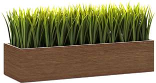 Vyani Recto Wooden Planter Box Stand Rack Rectangular 20 Inch Laminated Wenge Brown Plant Container Set