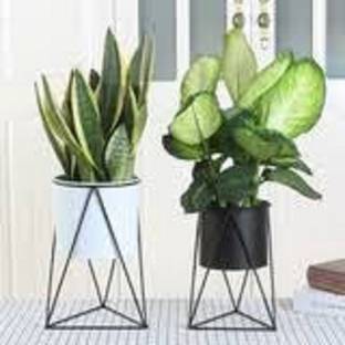 SIRAAJ&SONS Metal Flower Pot Planter Stand for Living Room Bedroom Garden Tabletop Planter Plant Container Set