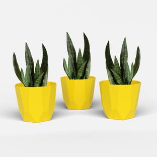 Yuccabe Italia SHERA Hexa 8 Inch Flower Pot Set | Indoor & Outdoor Home Décor Plant Container Plant Container Set